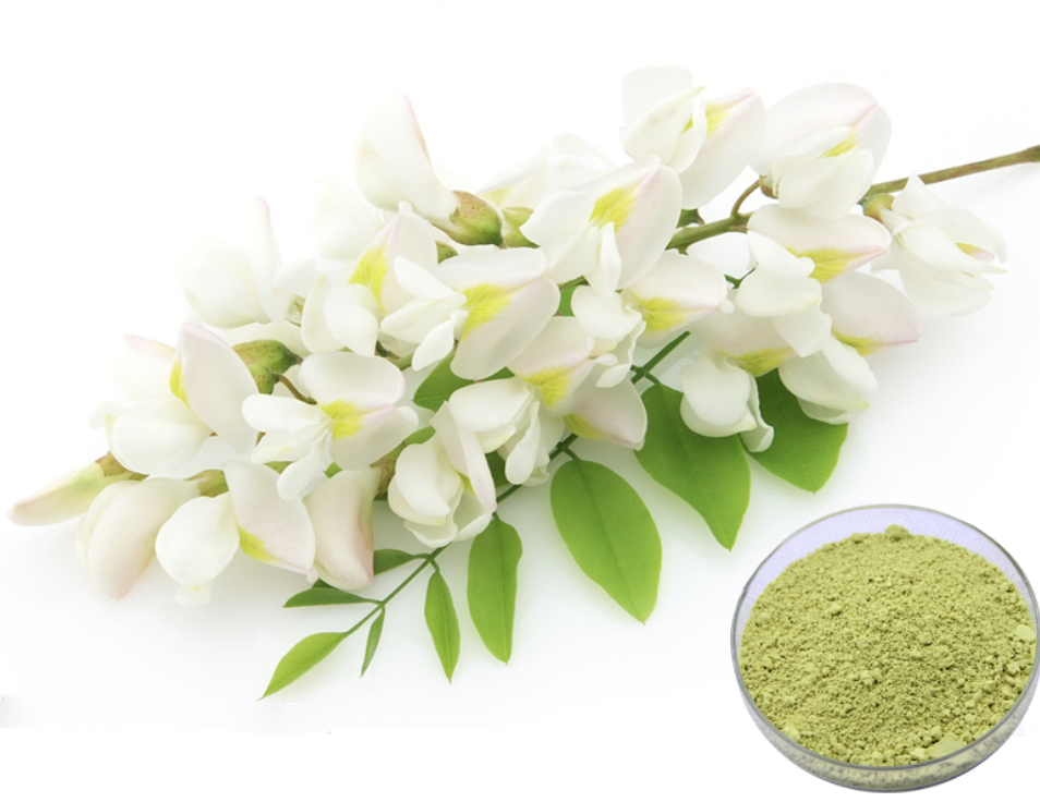 SOPHORA JAPONICA EXTRACT(QUERCETIN)
